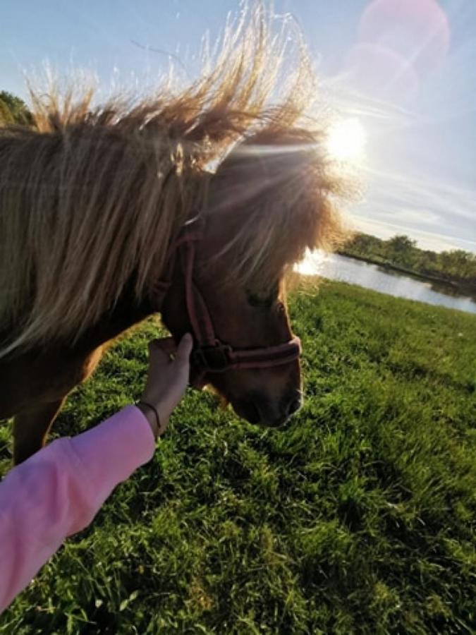 Dom Nad Rozlewiskiem Połczyn-Zdrój Bagian luar foto